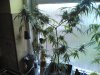 haze special 010.jpg