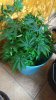 rps20160203_223214.jpg