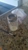 20160203_170616.jpg 20160203_170616.jpg
