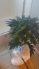 20160203_170949.jpg