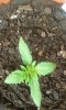 20160205_130731.jpg