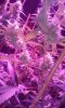 20160205_080804.jpg
