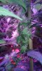 20160205_080910.jpg