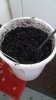 20160207_134136.jpg