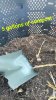 soil5.jpeg