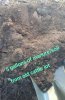 soil6.jpeg