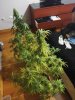 IMG_20160210_180615.jpg