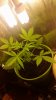 20160211_160751.jpg