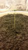 20160211_164811.jpg