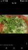 Screenshot_2016-01-17-13-43-49.png Screenshot_2016-01-17-13-43-49.png
