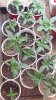 20160210_103525.jpg