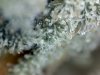 vlcsnap-2016-02-13-16h05m43s083.png vlcsnap-2016-02-13-16h05m43s083.png