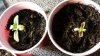 20160213_134232.jpg 20160213_134232.jpg