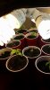 20160213_134535.jpg 20160213_134535.jpg