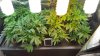 20160216_072647.jpg