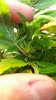 20160216_135511.jpg