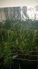 20160215_175745.jpg