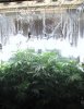 IMG_1711.jpg