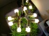 cflveg.jpg