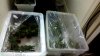 WIN_20160218_175606.JPG