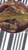 20160219_103804.jpg