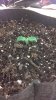 WP_20160115_001.jpg