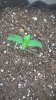 WP_20160117_04_07_34_Pro.jpg