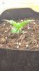 WP_20160119_15_21_38_Pro.jpg