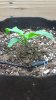 WP_20160121_004.jpg