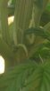 WP_20160207_011.jpg