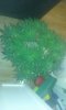 20160219_174726.jpg