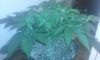 20160219_172359.jpg