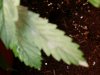 20160219_233633.jpg