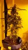 20160220_075048.jpg