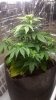 WP_20160213_009.jpg