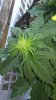 WP_20160218_15_15_42_Pro.jpg