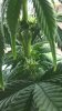 WP_20160218_15_15_54_Pro.jpg