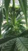 WP_20160218_15_15_59_Pro.jpg