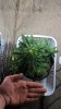 WP_20160218_15_16_30_Pro.jpg