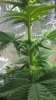 WP_20160219_03_11_03_Pro.jpg