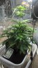 WP_20160221_00_51_03_Pro.jpg