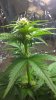 WP_20160221_00_51_18_Pro.jpg