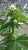 WP_20160221_00_52_00_Pro.jpg