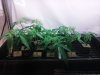 20160220_024452_noexif.jpg