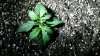20160221_135039.jpg