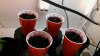 20160222_110334.jpg