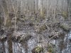 DSCF7343.JPG DSCF7343.JPG