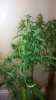 20160224_121651.jpg 20160224_121651.jpg