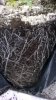 WP_20160225_18_41_31_Pro.jpg