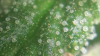 Screenshot_2016-02-26-10-38-03.png
